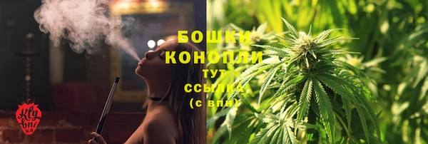 дурь Верея