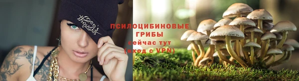 mdpv Верхний Тагил