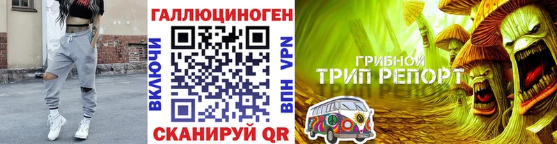 Галлюциногенные грибы Cubensis  Кириши 